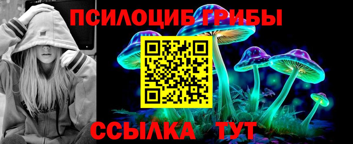 Чехов  Галлюциногенные грибы Psilocybe  Вход с VPN  Псилоцибиновые грибы ЛСД 